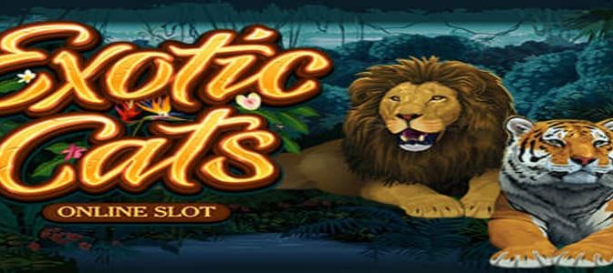 Microgaming släpper ny slot med klös i – Exotic Cats!