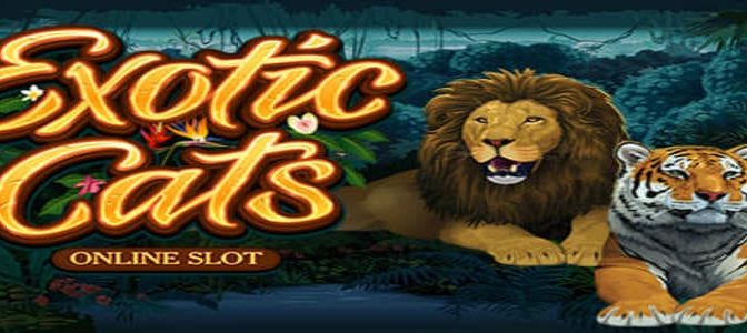 Microgaming släpper ny slot med klös i – Exotic Cats!